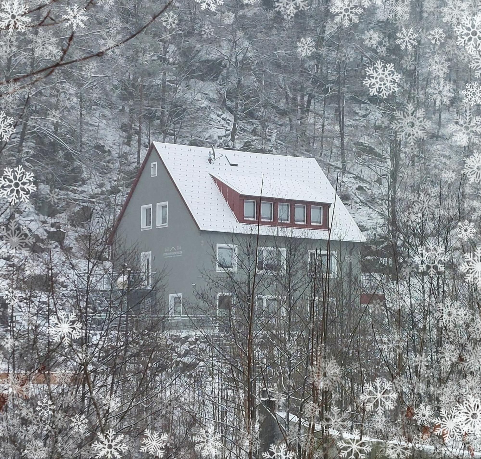 Am Quellenhaeuschen Apartamento Naila Exterior foto